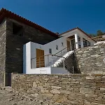 The Vineyard